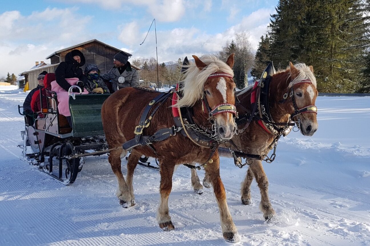 15_Kutsche